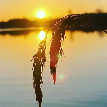 Mahoniowe Zacisze בית נופש Strzeszow