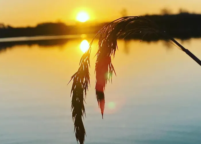 Mahoniowe Zacisze Hébergement de vacances Strzeszow